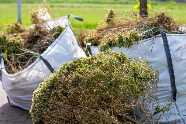 Best Office Junk Removal  in Fairview Heights, IL